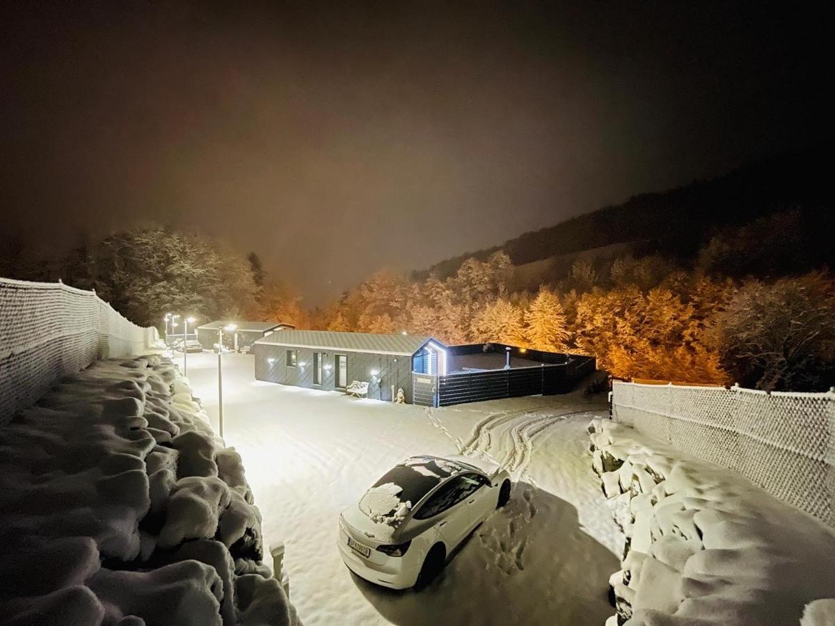 Voralpen Lodge - Ferienhaus Mit Gym & Wellnessbereich Traisen Exterior foto